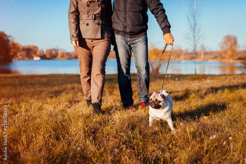 They’d Rather Spend Time with Their Dog Than Fake Smiles