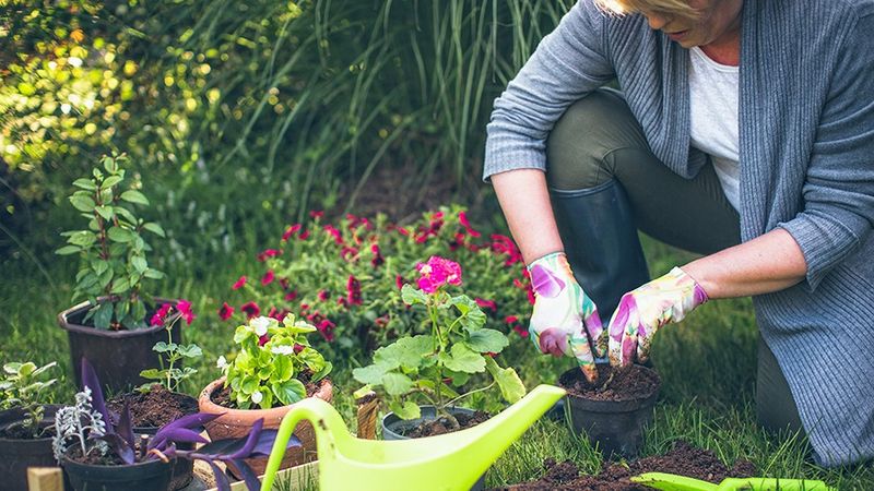 Gardening and Nature