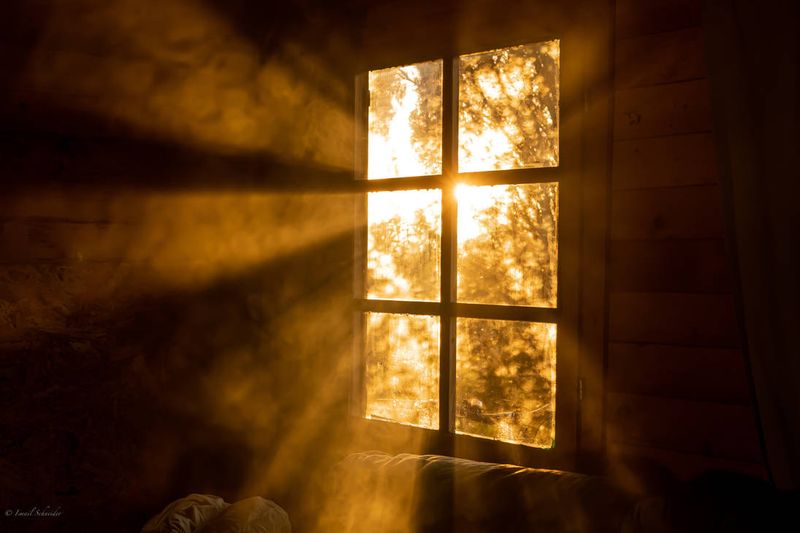 Sunlight catching on windows just right