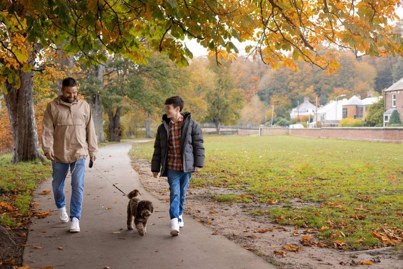 The Pet Custody Saga