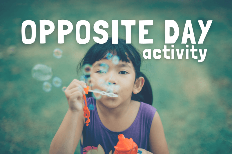 The Opposite Day