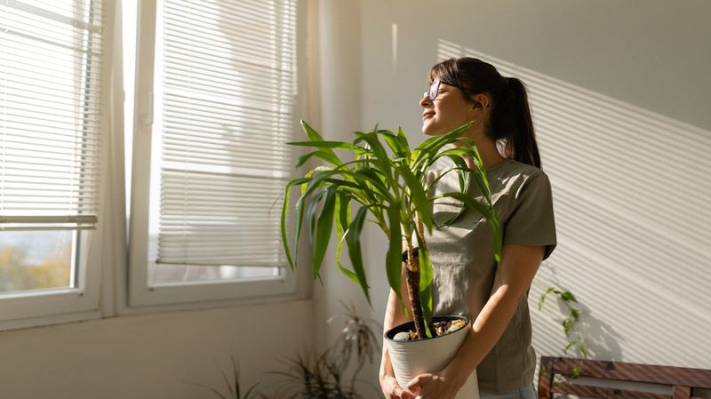 The Plant that Survived
