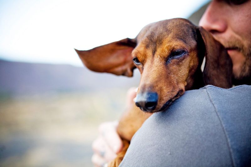 The guy who remembers your pet’s name