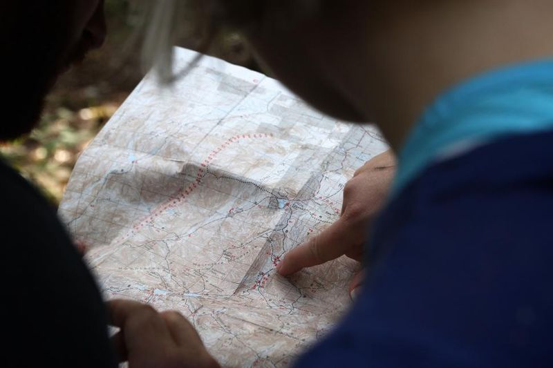 They Can Navigate Without GPS