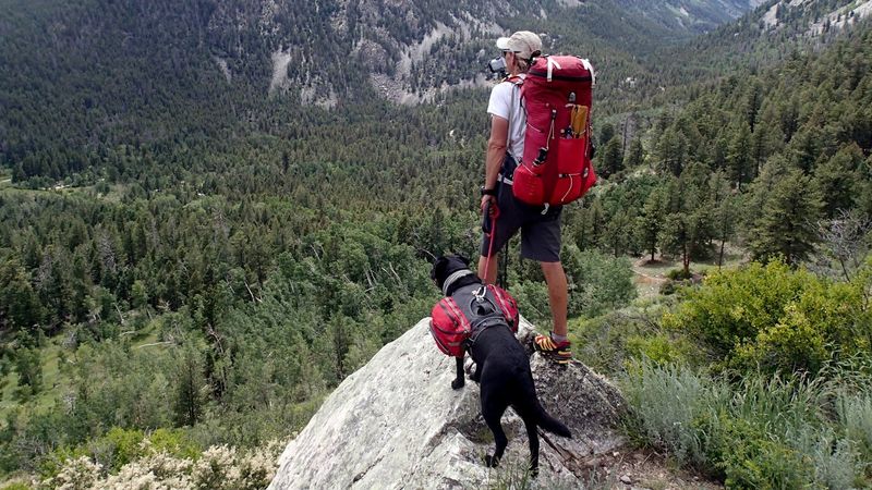 They value their independence more than validation