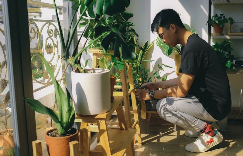 A plant he waters (or at least tries to)