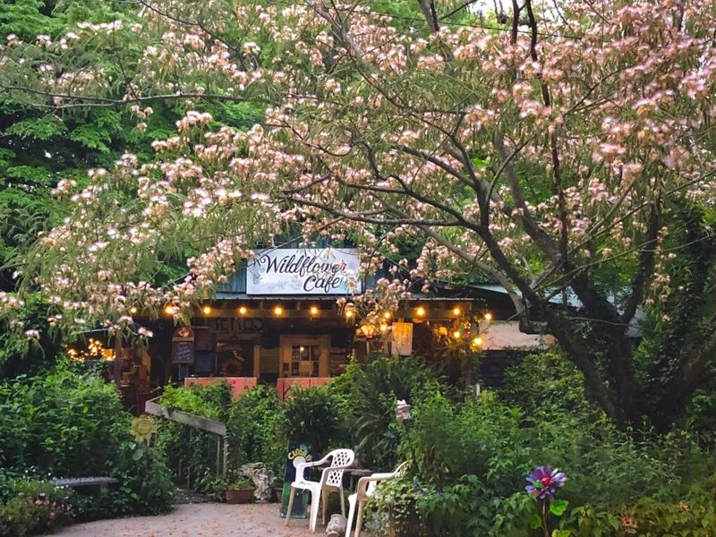 The Wildflower Café, Mentone, AL