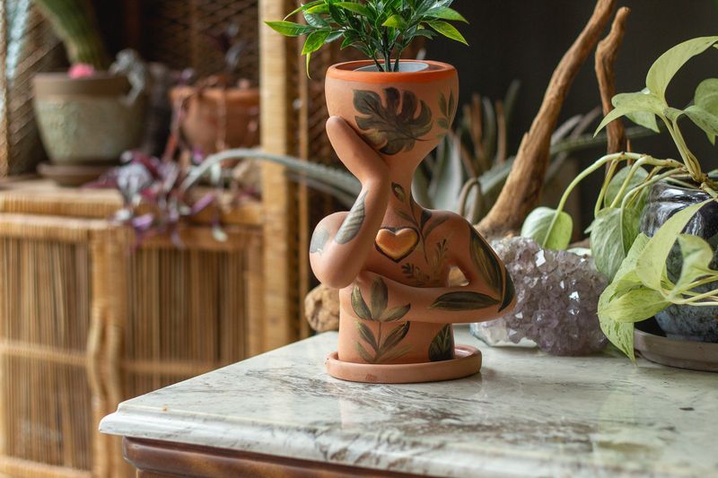 An Easy-Care Houseplant in a Cute Pot