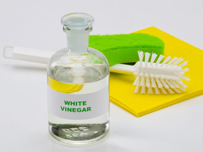 Use Vinegar for Literally Everything