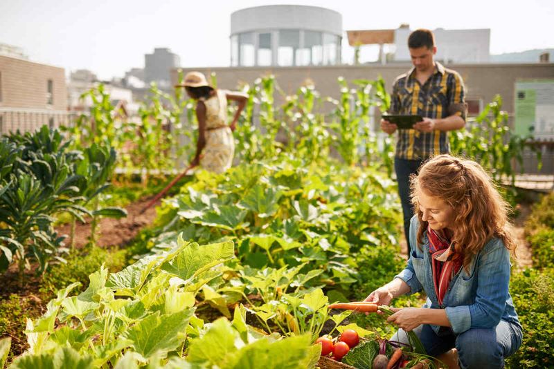 Community Gardening