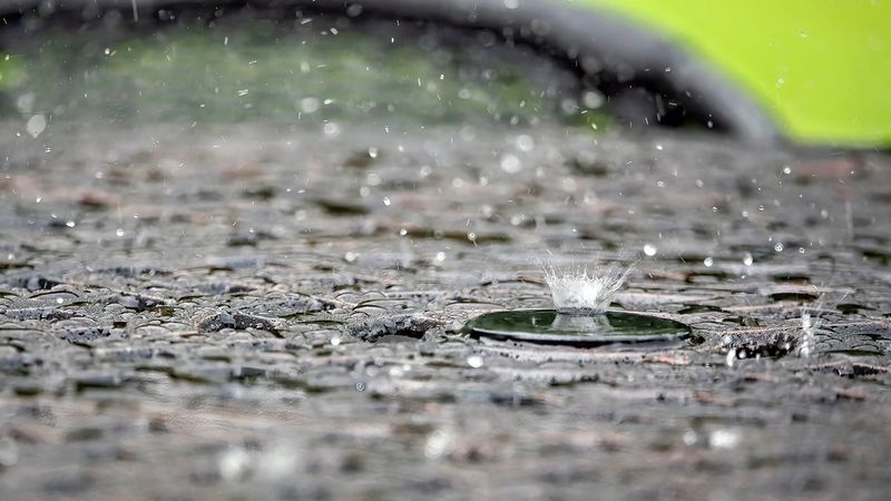 Wet Pavement After Rain