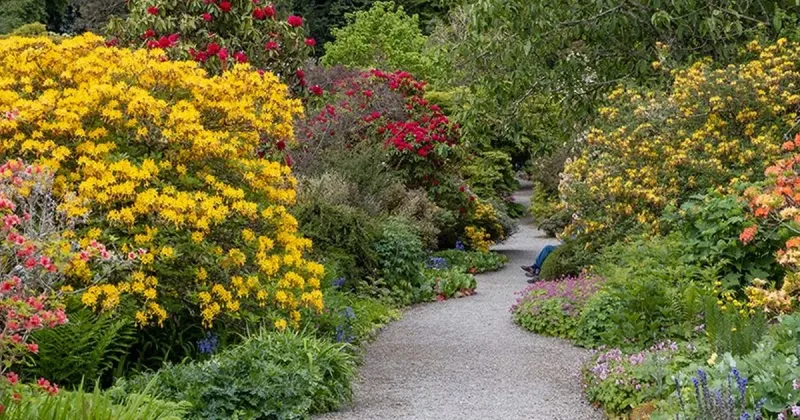 Visit a Place That Brings You Peace