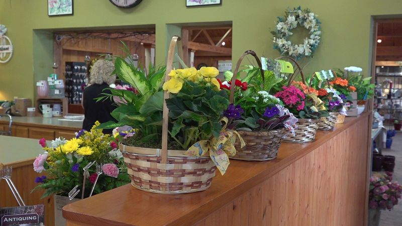 Quarter of Yearly Flower Sales