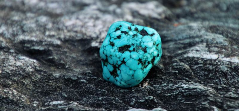 Turquoise