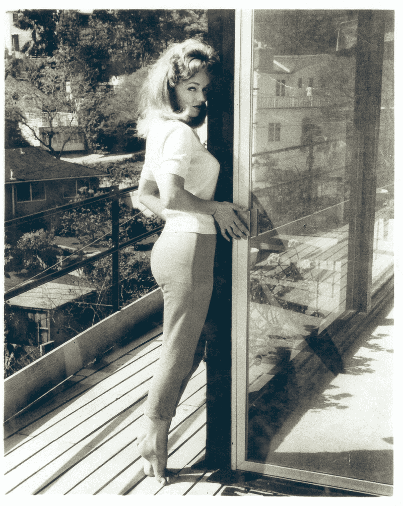 Pin-Up Polaroid Secrets