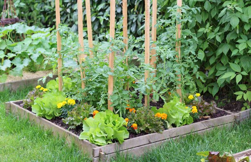 Planting Something Together