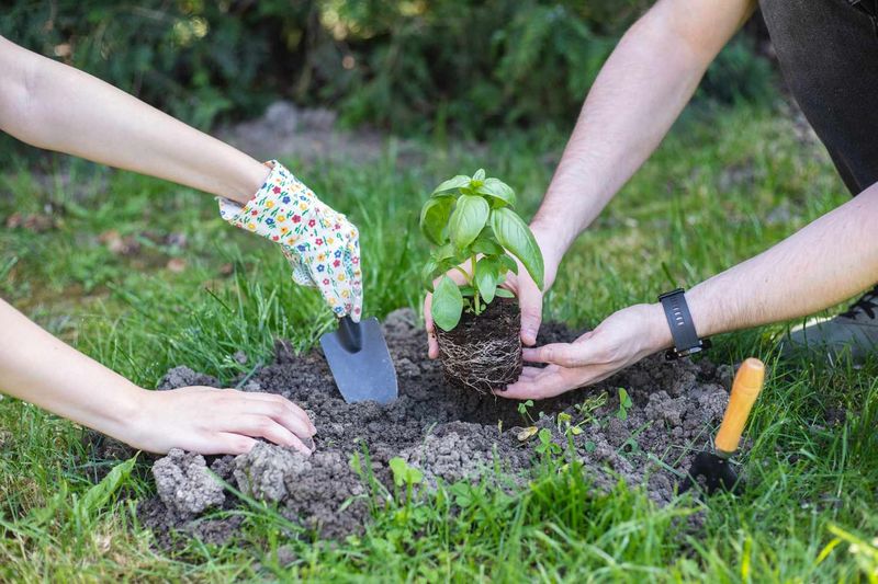 Gardening for Wellness