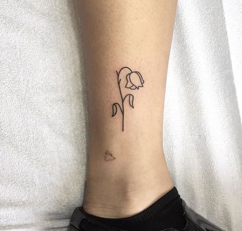 Wilted Flower with No Color