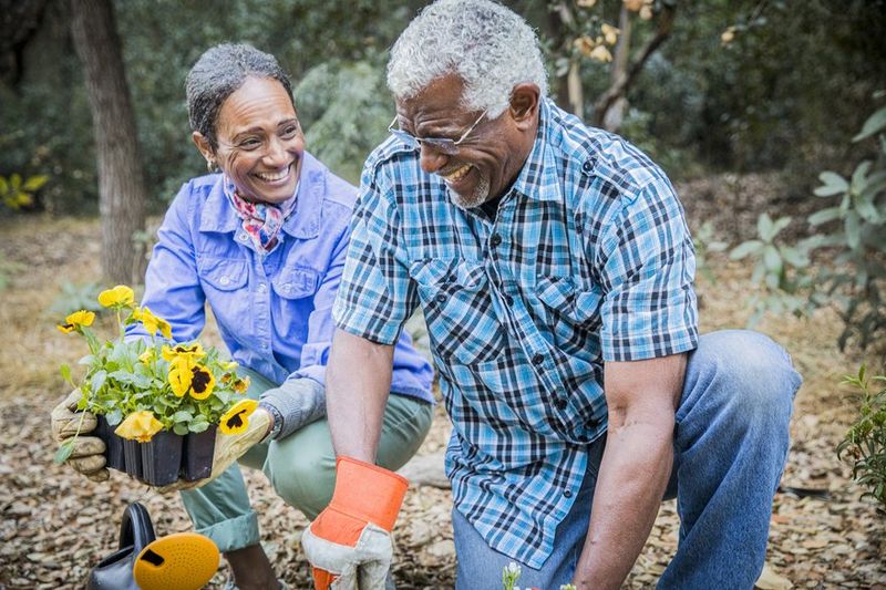 Retirement Is for People Who Don’t Love Their Job