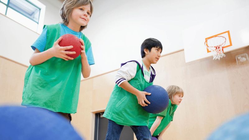 Schoolyard Survival: Lessons They Never Taught in Class