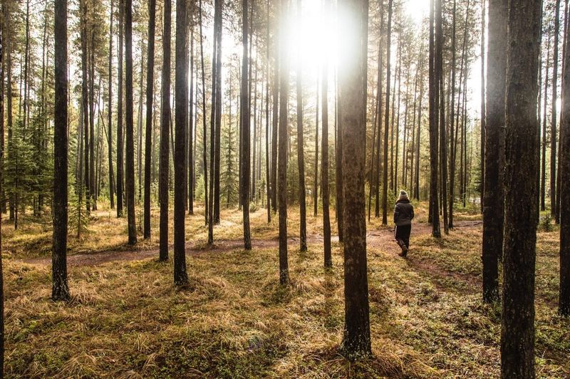 Keep your pace—fast thinkers aren’t always deep thinkers