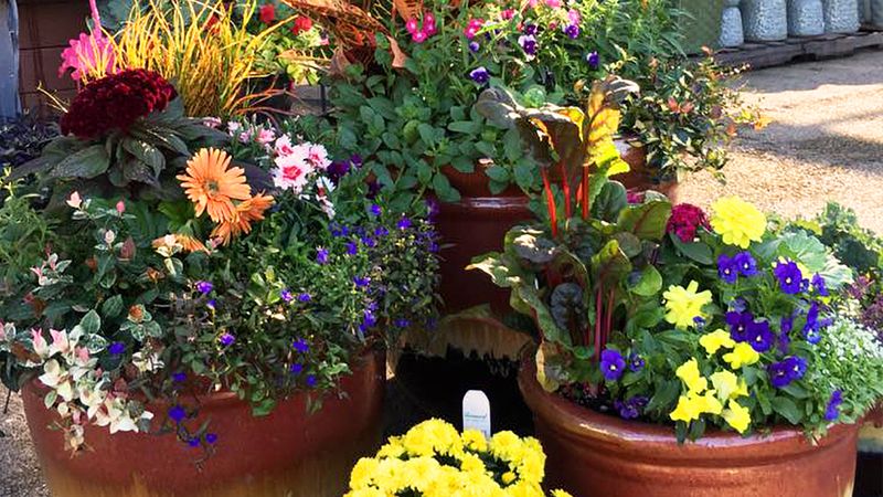 Set Up a Surprise Garden Gift
