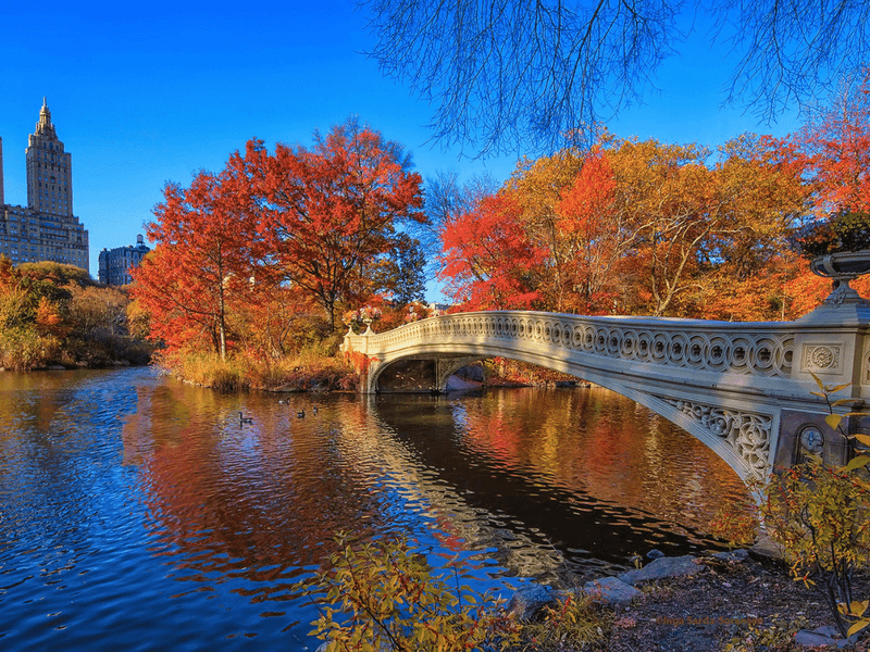 Central Park's Bow Bridge, New York City