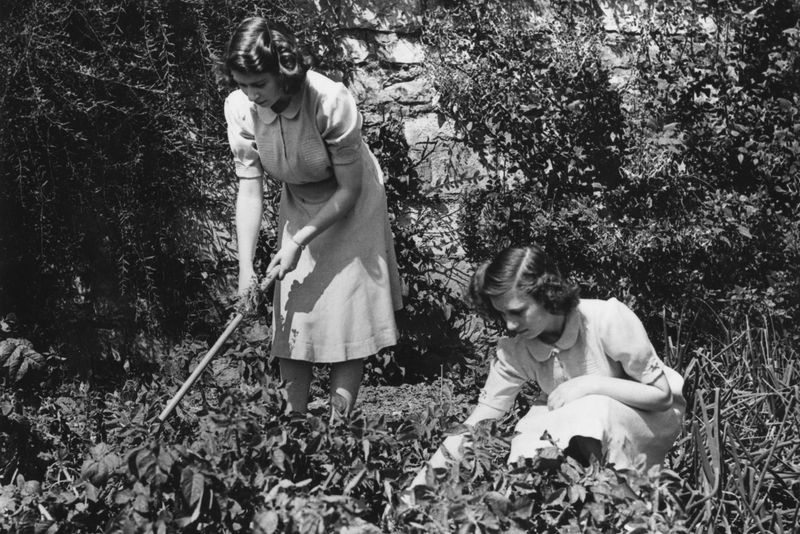 Gardening as both therapy and pride
