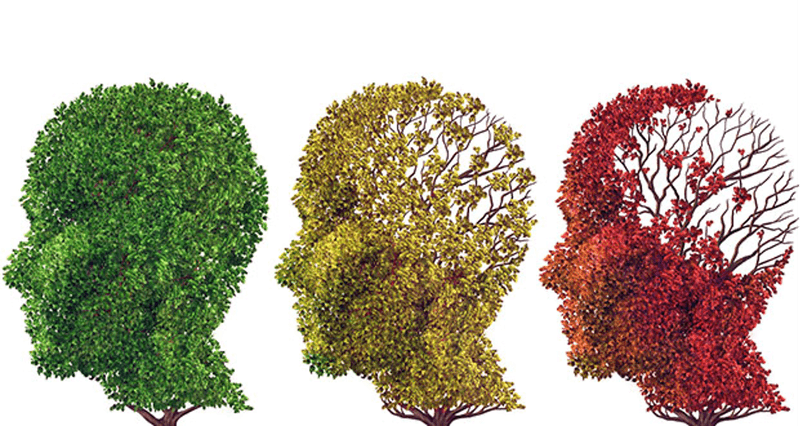 Cognitive Decline Threatens Independence
