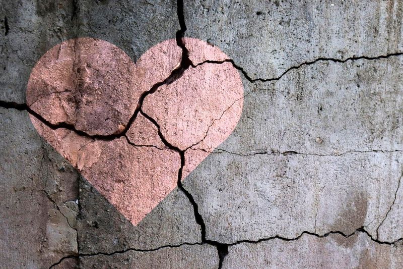 It brings up grief, healing, and complicated bonds