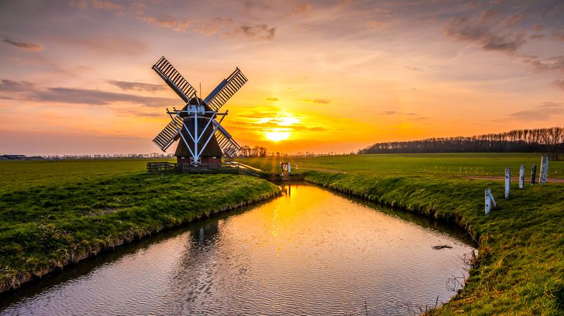 Run of the Mill