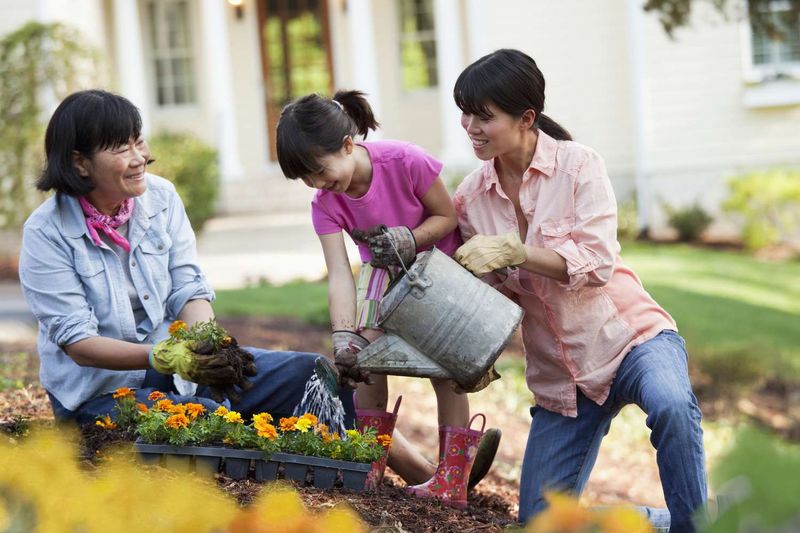 Plant flowers together as a new tradition