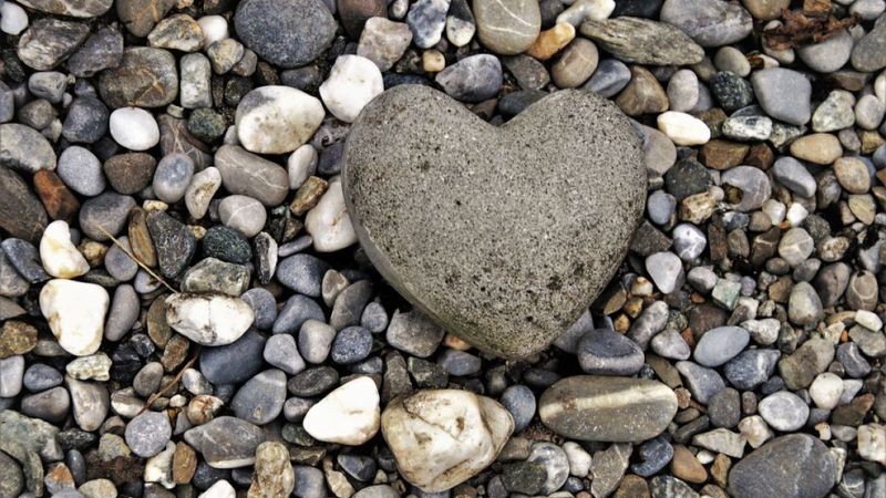 Use the Gray Rock Method