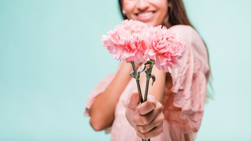 Carnations: More Than Pretty Flowers