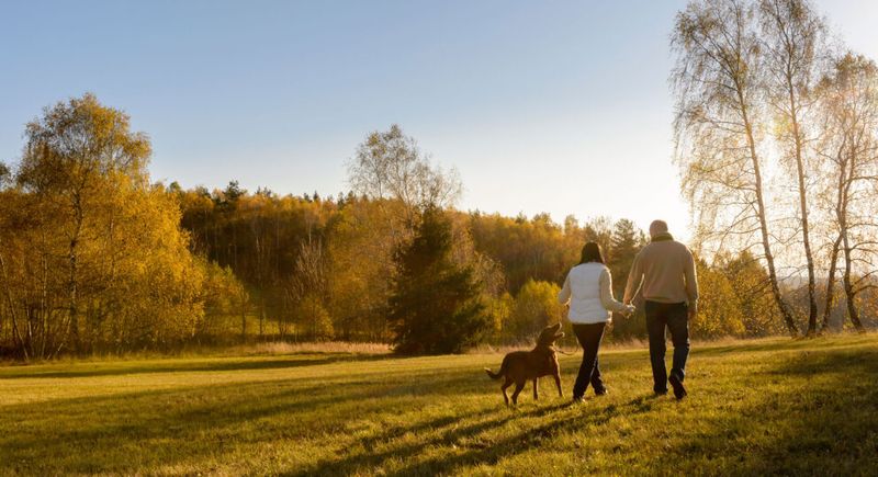Myth 6: Men Aren’t Looking for Commitment