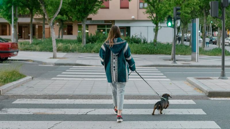 You’ve already left emotionally—and you feel lighter there