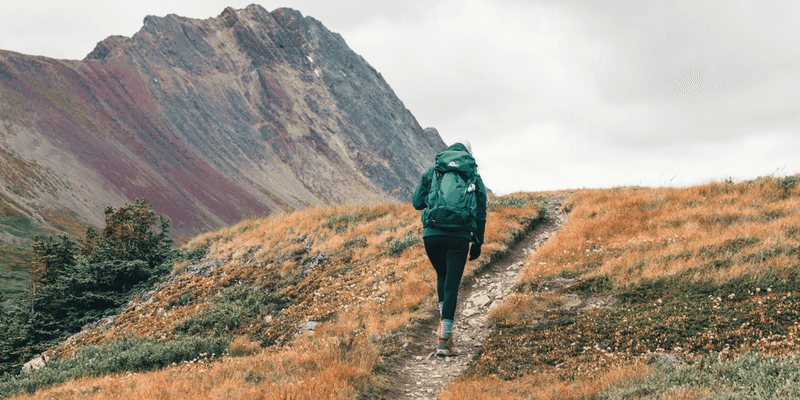 Equating Survival with Success