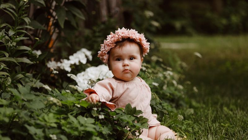 Sylvia