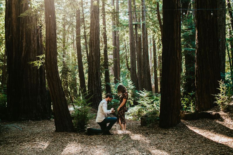 Redwood National and State Parks, California