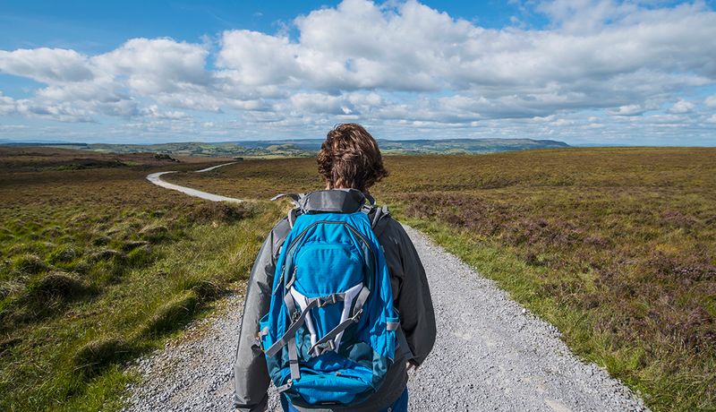 Take a (Solo) Trip, Even If It’s Nearby