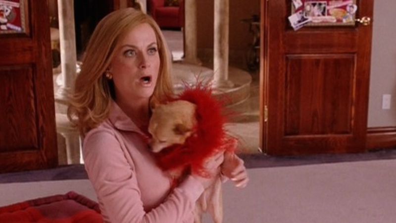“I’m not a regular mom, I’m a cool mom.”