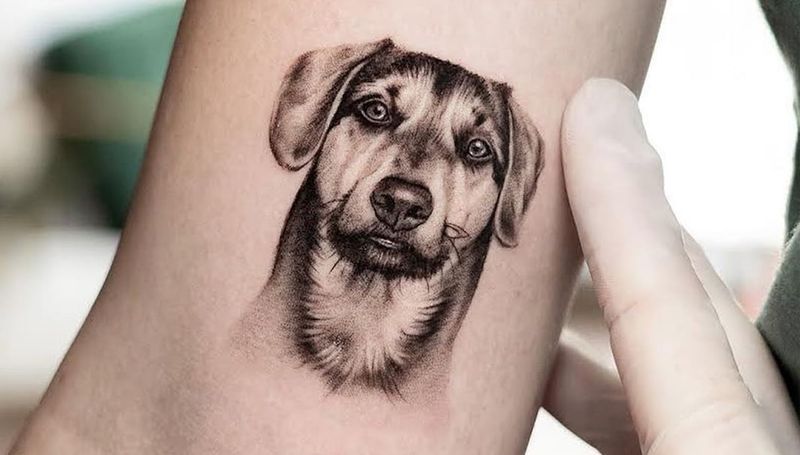 Pet Portraits: Four-Legged Love Notes