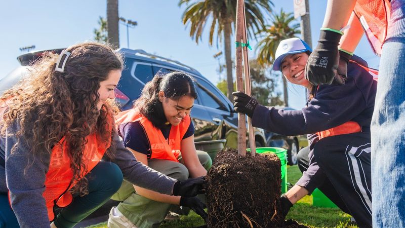 Give Back in Your Community