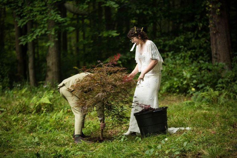 Plant a tree together every anniversary