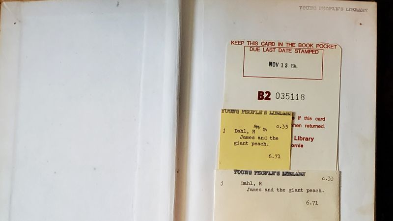 Library Book Shame: Detention Awaits
