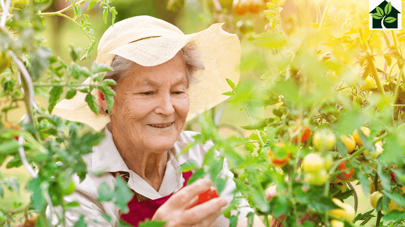 Aging feels more peaceful, not less full