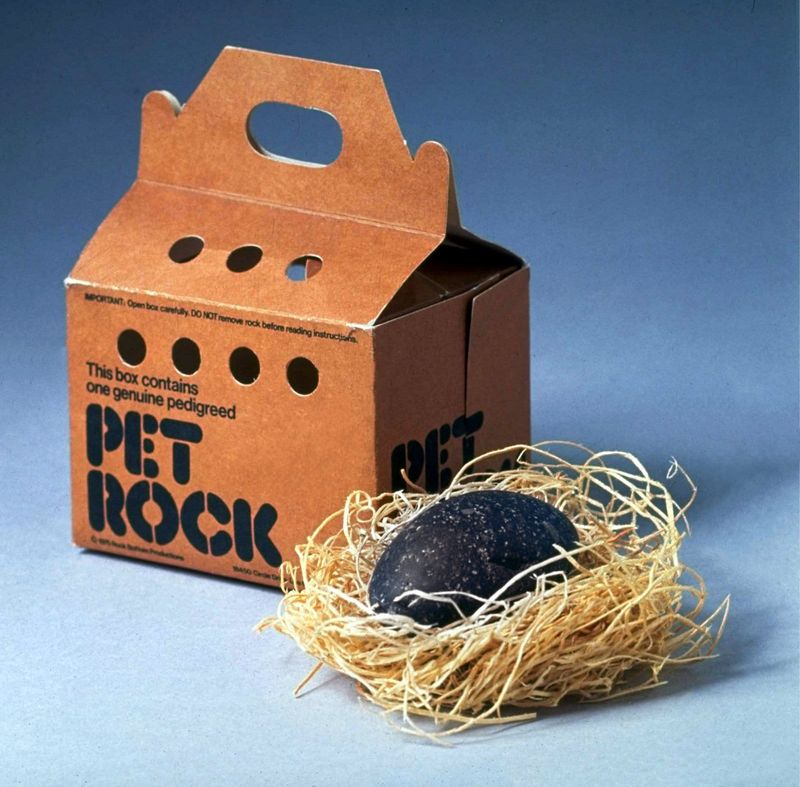 Pet Rocks and Fads