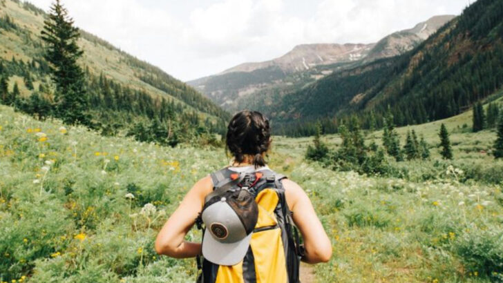 15 Hobbies Experts Say Will Make You Happier