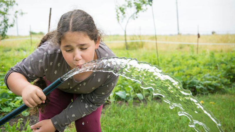 Drinking from the Garden Hose: The Original Sports Drink