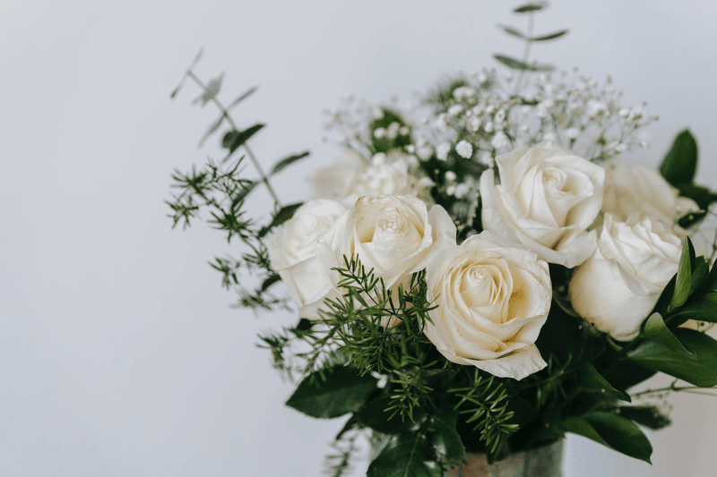 White: The Safe Harbor